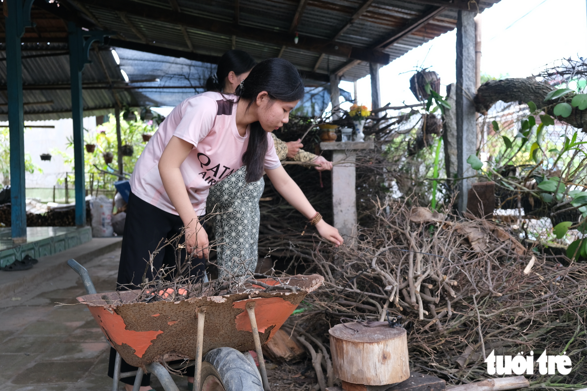 Nữ sinh mồ côi là học sinh giỏi tỉnh, xin ĐH Cần Thơ hoãn đóng học phí vì chưa đủ tiền - Ảnh 1.
