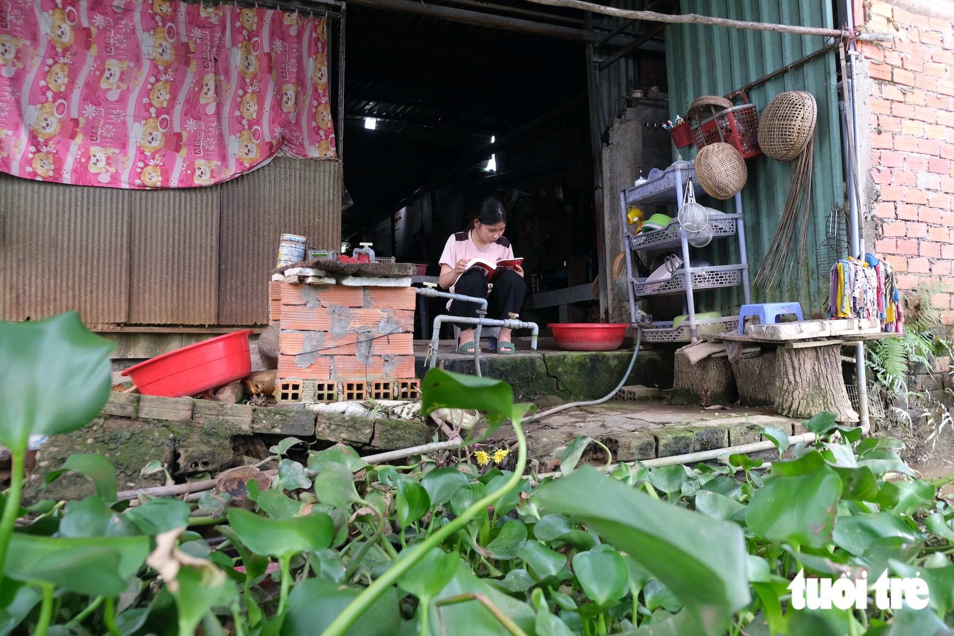 Nữ sinh mồ côi là học sinh giỏi tỉnh, xin ĐH Cần Thơ hoãn đóng học phí vì chưa đủ tiền - Ảnh 8.