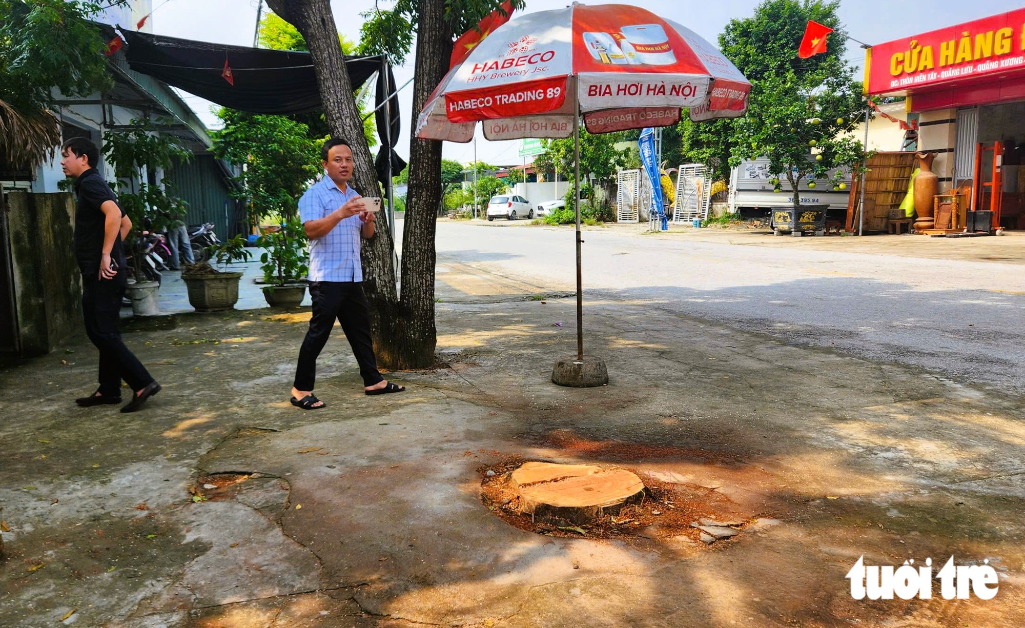Vụ cây đổ đè chết người đi người: Mong cơ quan chức năng giảm nhẹ hình phạt - Ảnh 1.