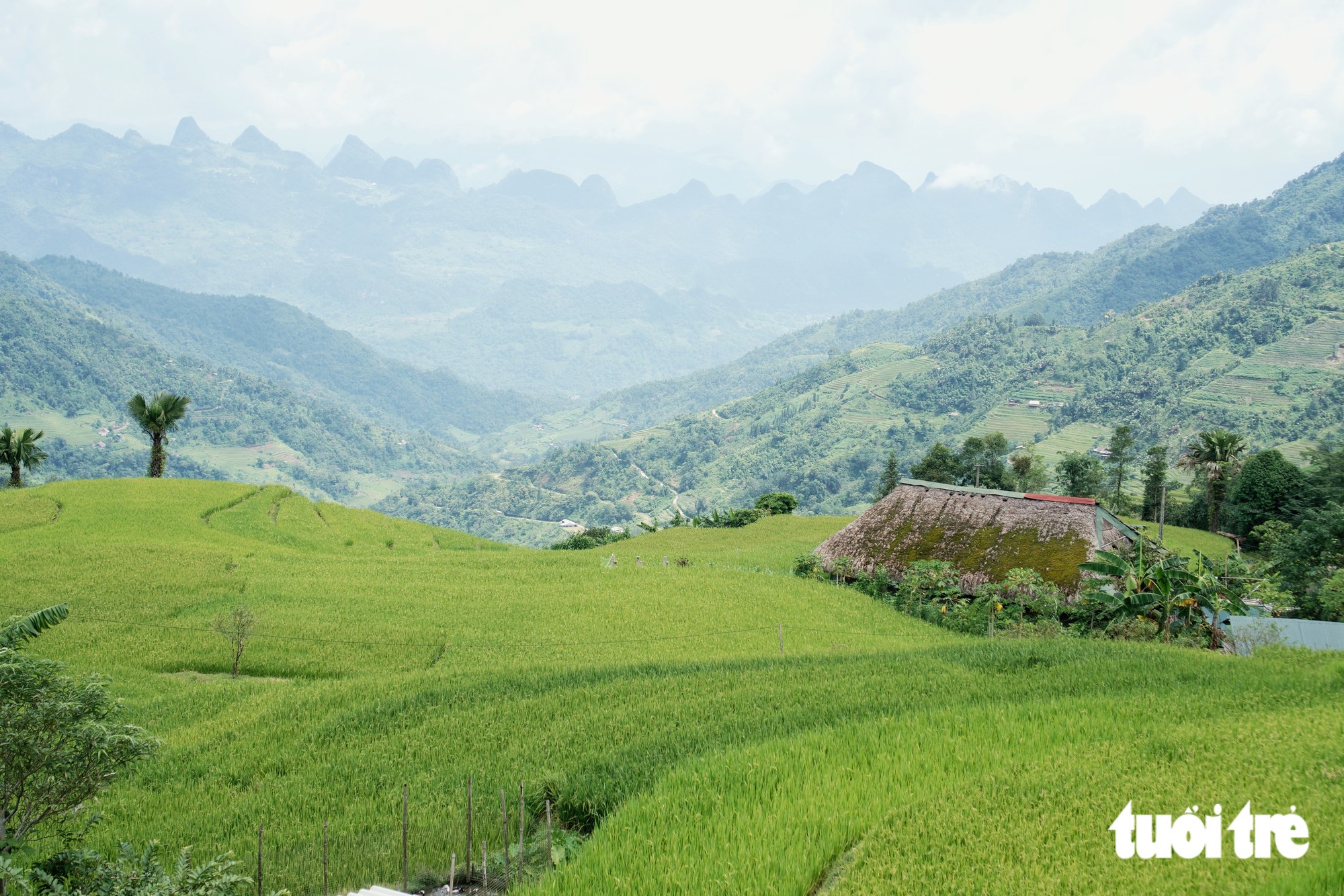 Vượt núi băng rừng ngắm ruộng bậc thang trên ‘nóc nhà Đông Bắc’ - Ảnh 2.