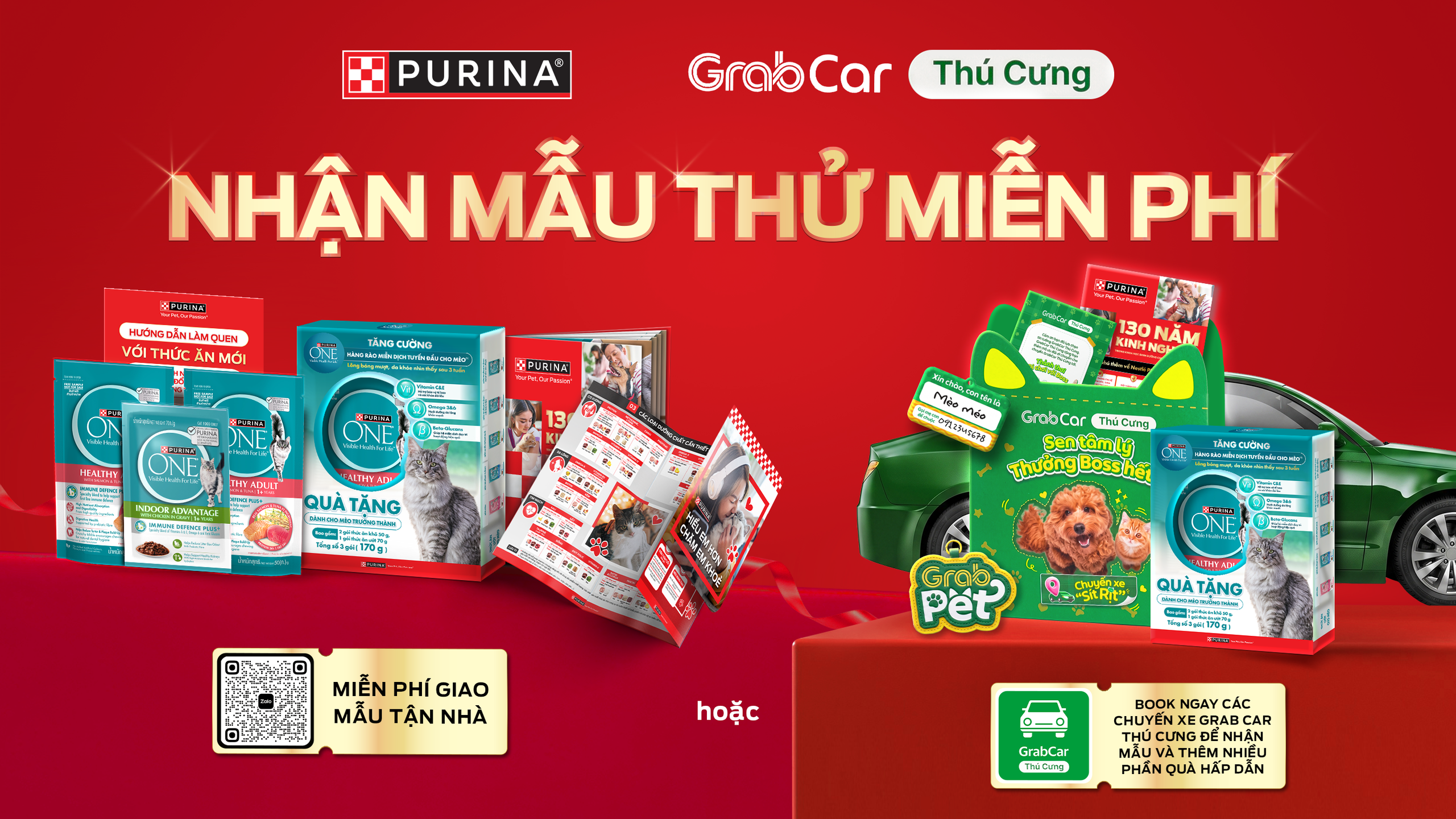 Dấu hiệu mèo được chăm sóc tốt: Khám phá chăm sóc thú cưng hoàn hảo - Ảnh 4.