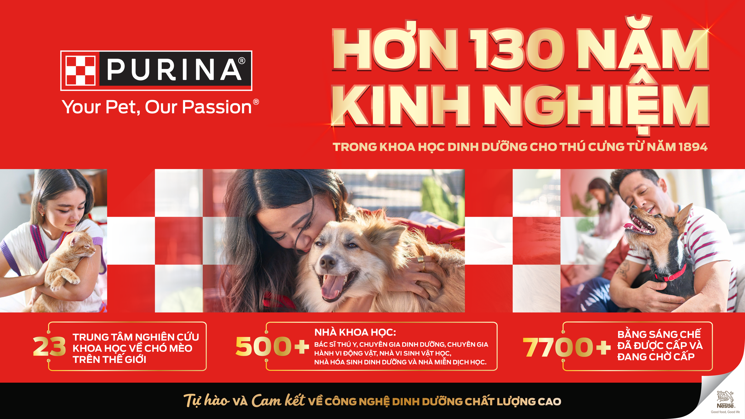 Dấu hiệu mèo được chăm sóc tốt: Khám phá chăm sóc thú cưng hoàn hảo - Ảnh 2.