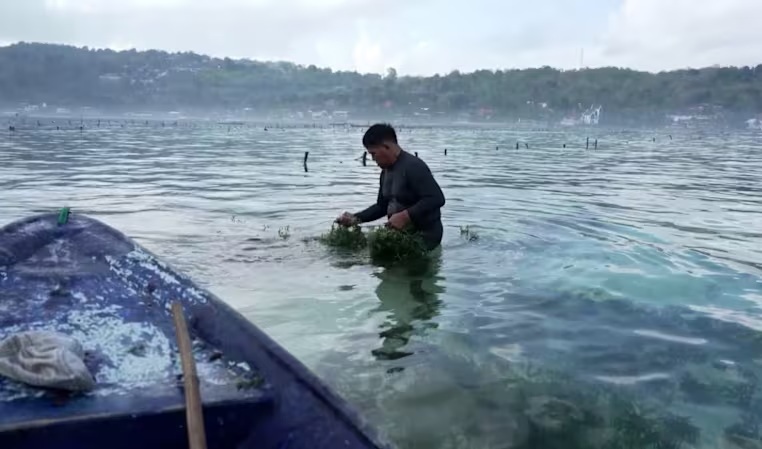 Siêu El Nino có thể làm đảo lộn đời sống Đông Nam Á - Ảnh 2.