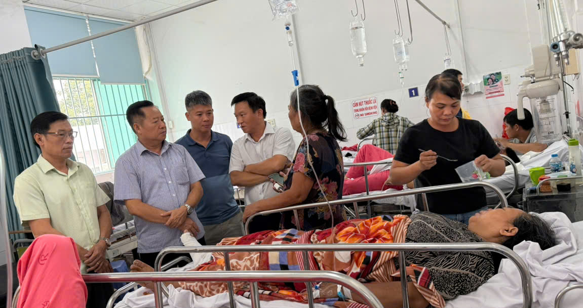 Cây xanh tét nhánh làm 1 người chết: Sở Xây dựng TP.HCM nói cây còn tươi tốt, sẽ tổng rà soát cây lớn - Ảnh 4.