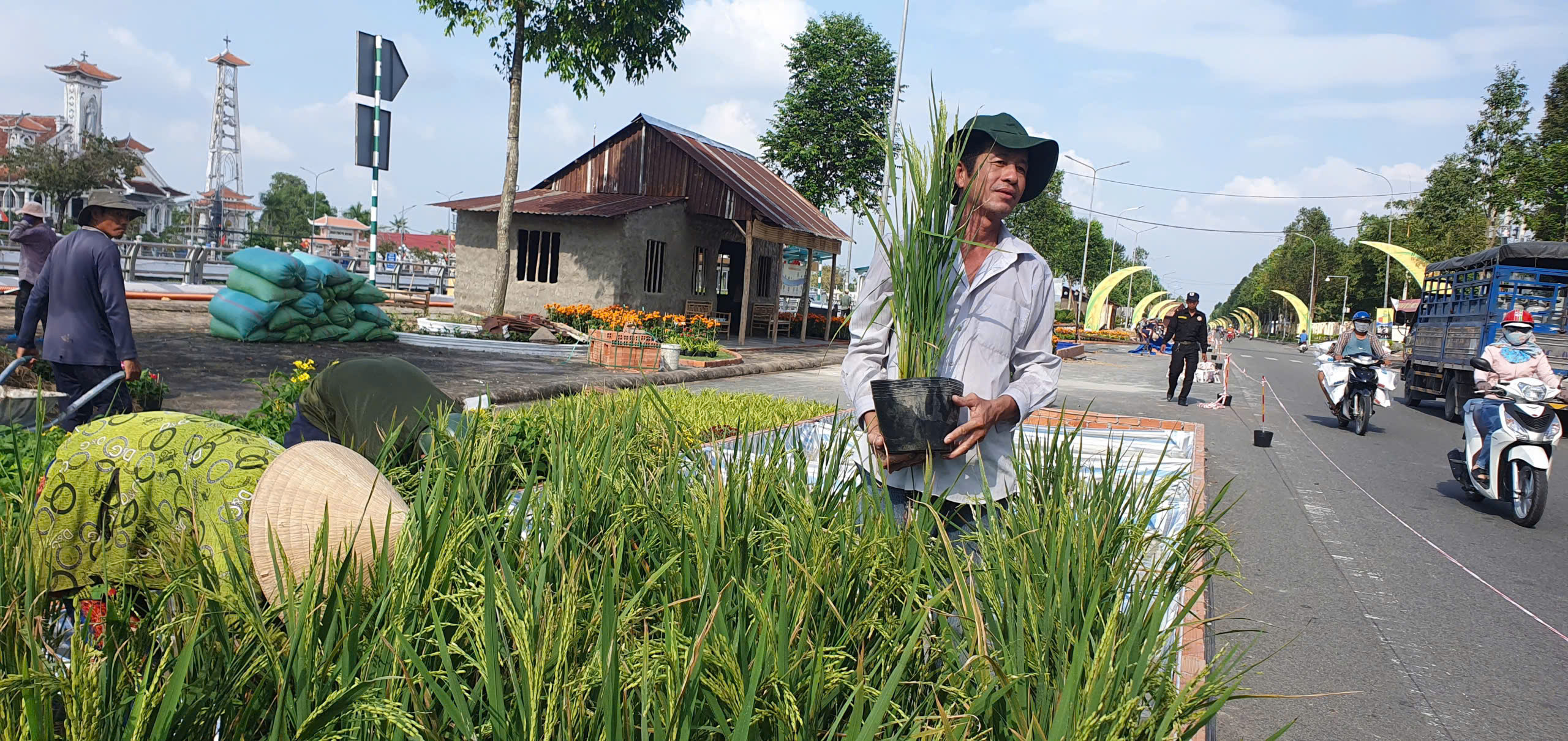 Trồng 25.000 chậu lúa làm con đường lúa gạo Việt Nam - Ảnh 1.