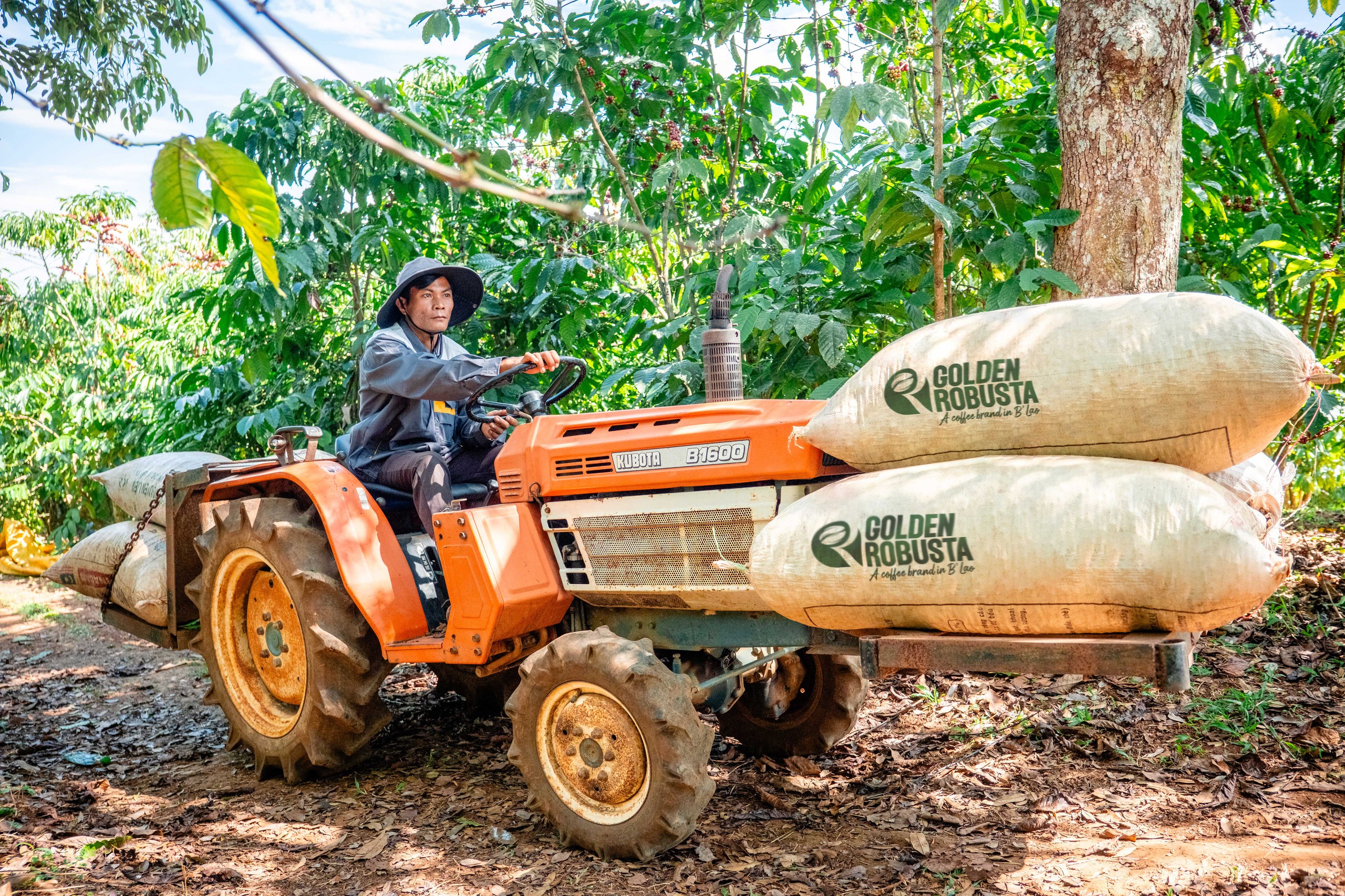 Dữ liệu vùng trồng cà phê: Để Robusta Việt chứng minh chất lượng, tính hợp pháp, giá trị bền vững trên trường quốc tế - Ảnh 11.