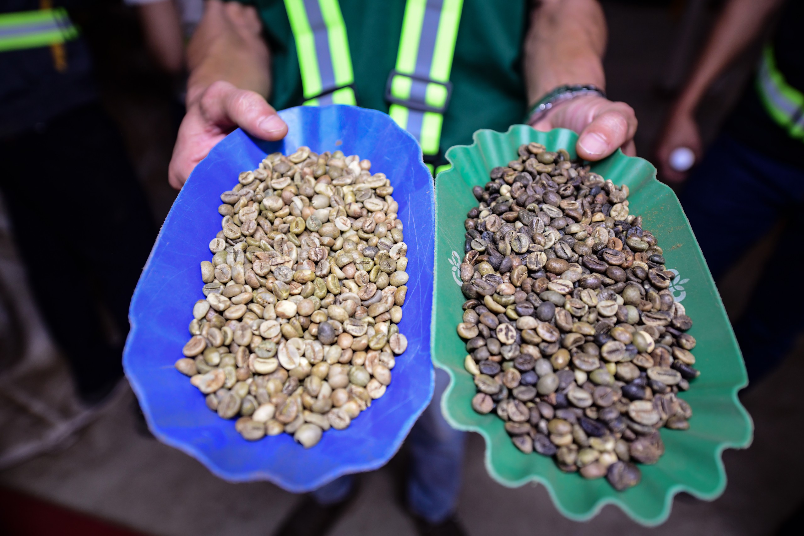 Dữ liệu vùng trồng cà phê: Để Robusta Việt chứng minh chất lượng, tính hợp pháp, giá trị bền vững trên trường quốc tế - Ảnh 8.