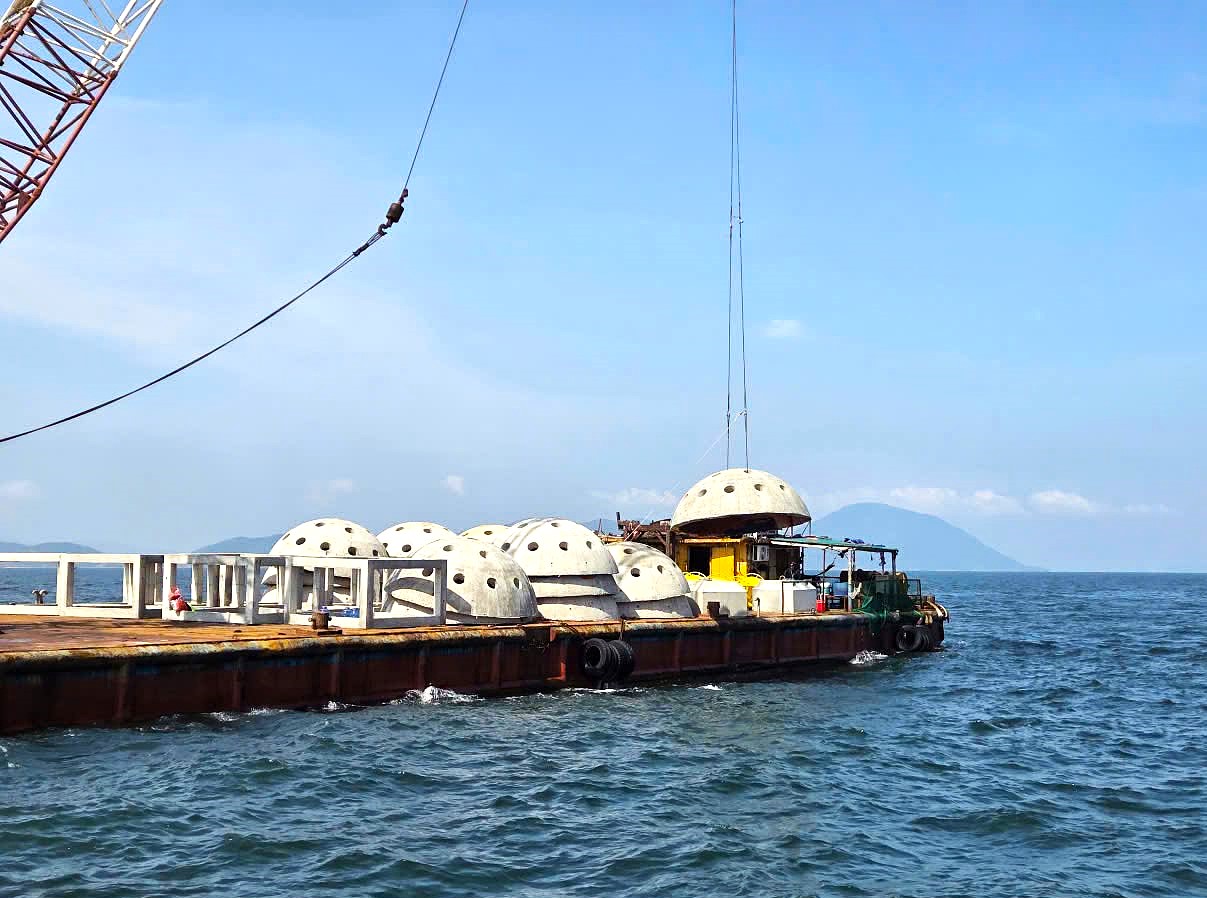 Dùng tiền bồi thường của Formosa làm khối rạn nhân tạo thả xuống biển để tái tạo nguồn lợi thủy sản - Ảnh 1.