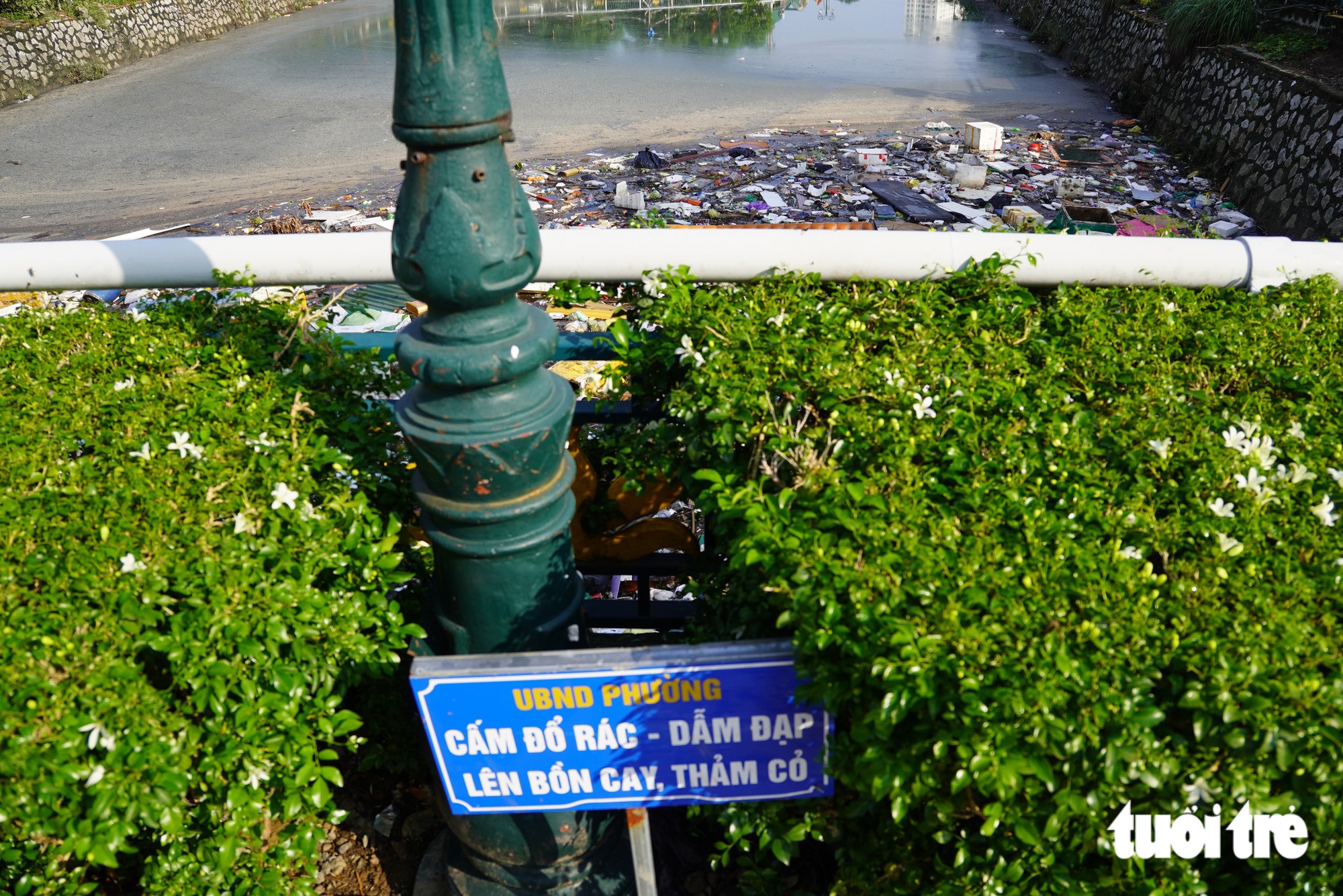Historic rain leaves Vietnam’s ancient citadel moat choked with trash- Ảnh 9.