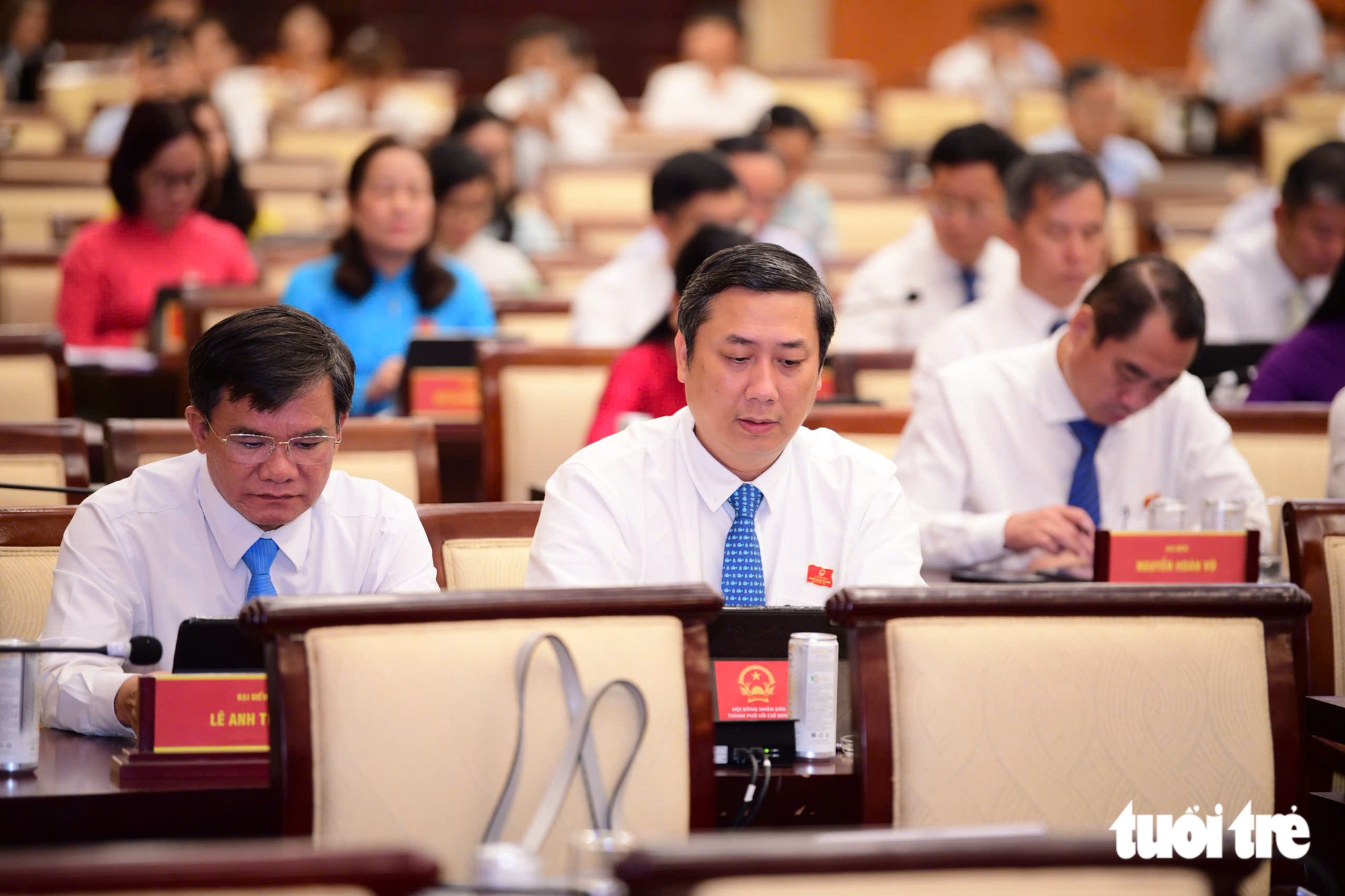 HĐND TP.HCM thông qua 24 nghị quyết triển khai Luật Phát triển đô thị - Ảnh 2.
