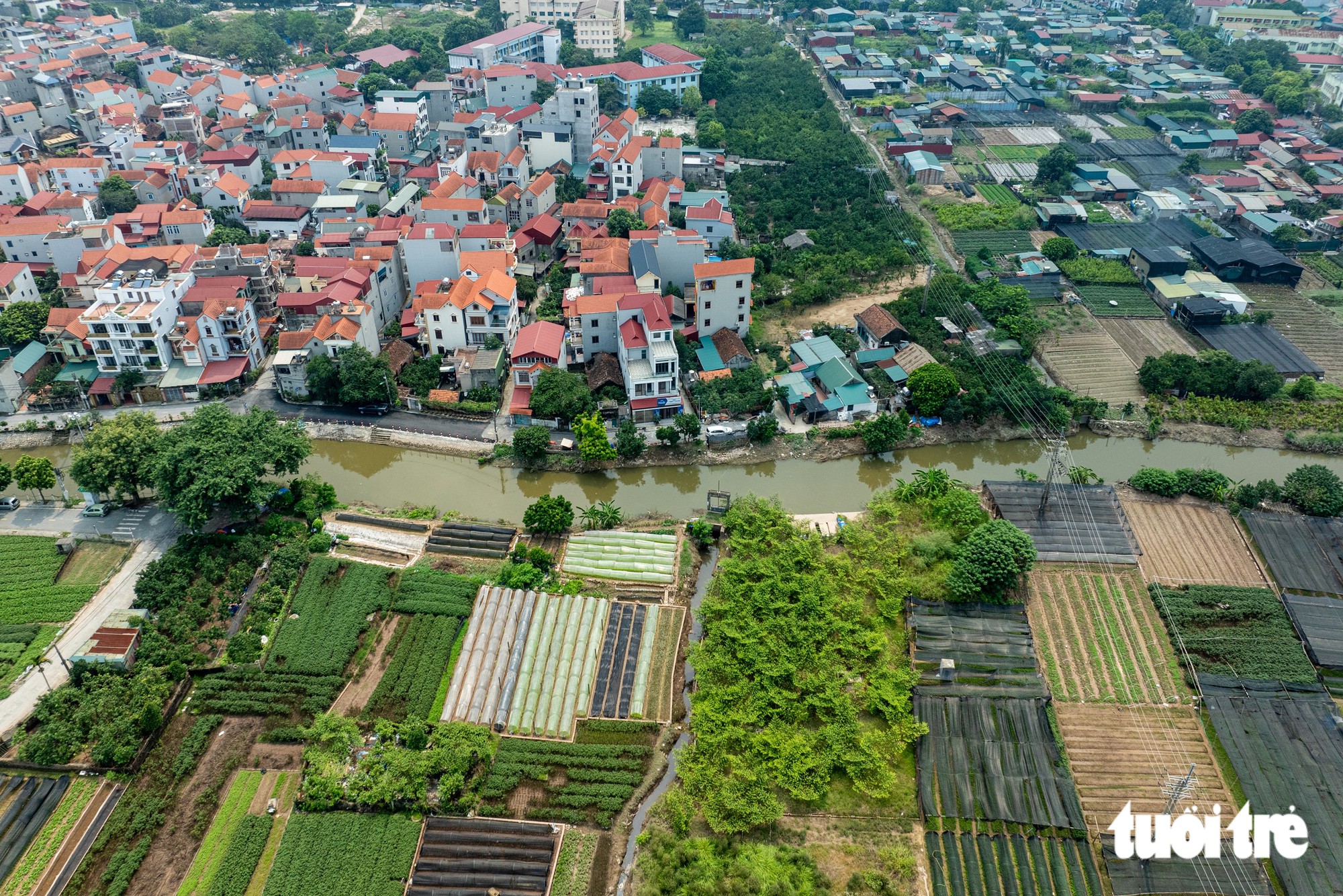 Ngập úng Tây Tựu khiến hoa chết , người dân lo lắng trước Tết 2026 - Ảnh 15.