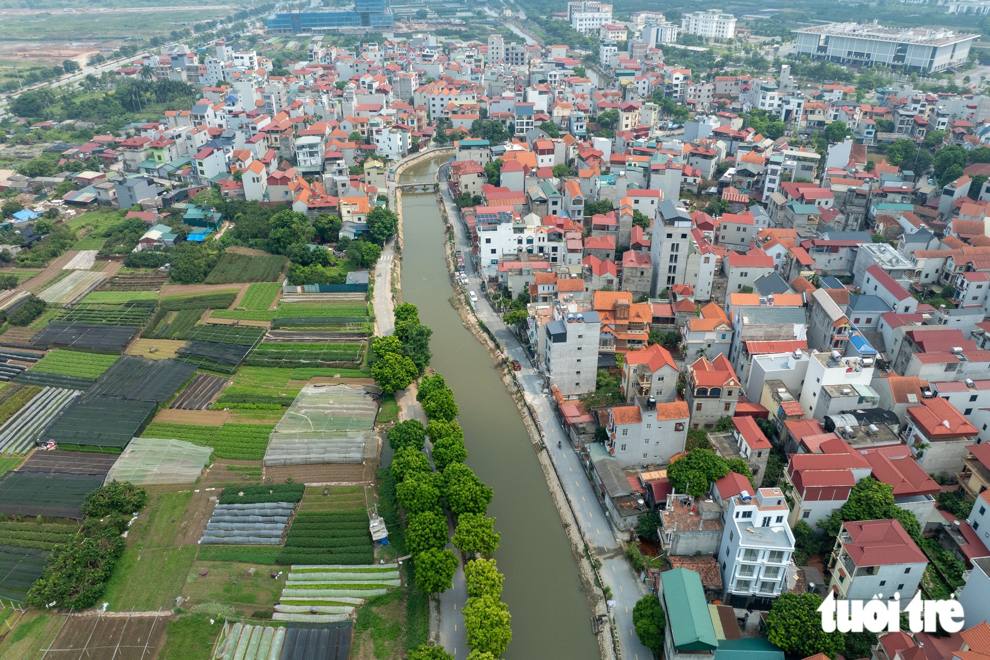 Ngập úng Tây Tựu khiến hoa chết , người dân lo lắng trước Tết 2026 - Ảnh 16.