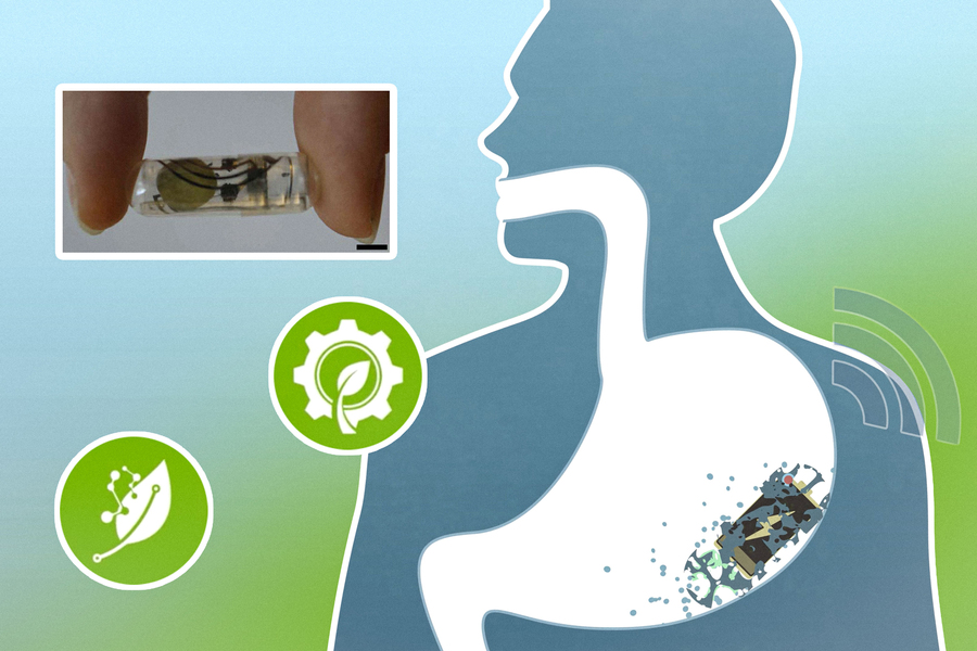 Pin giấy nuốt được cấp điện ba ngày trong dạ dày rồi dần tự tan - Ảnh 2.