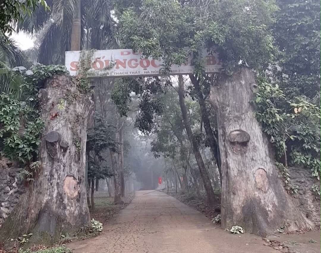  - Ảnh 2.