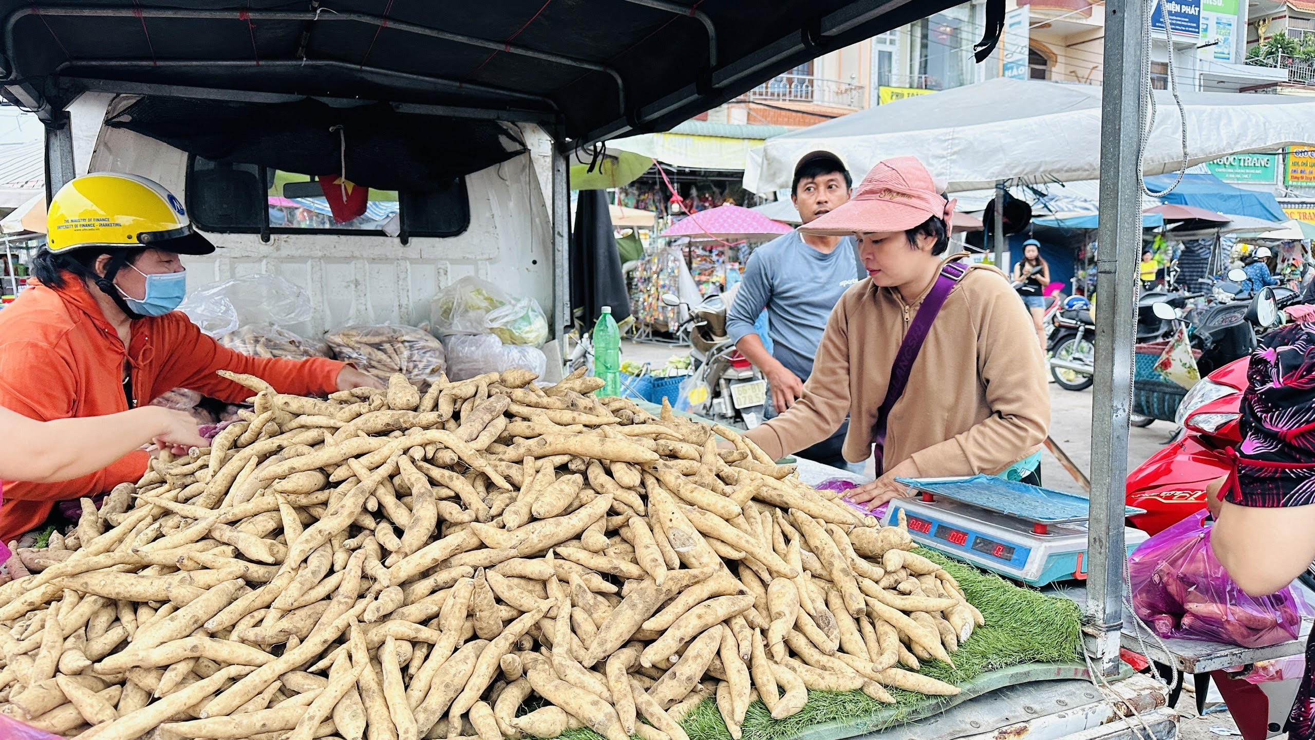 Giá cả đầu ngày: Giá lươn, khoai lang nhích lên, heo hơi ổn định nhưng lo thiếu hàng Tết - Ảnh 2.