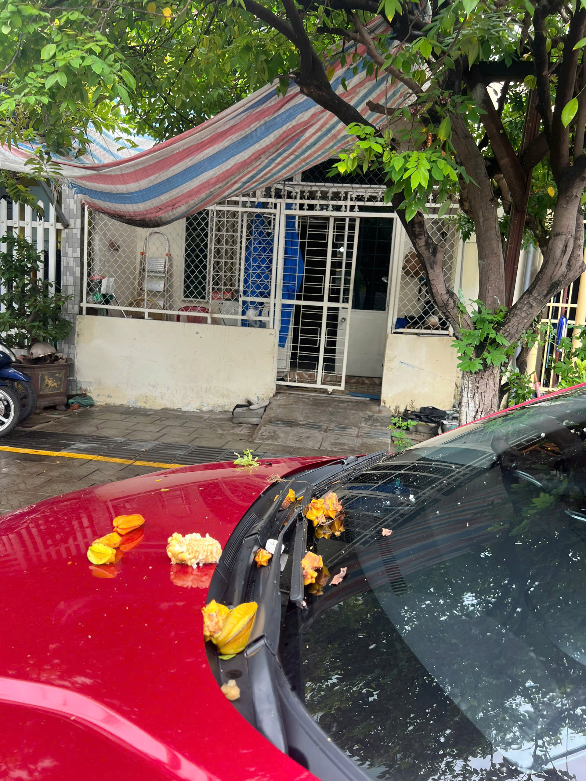 Người đi xe ô tô ở Đà Nẵng than bị 'bắt nạt', đậu đúng luật cũng bị ném rác, xua đuổi - Ảnh 3.