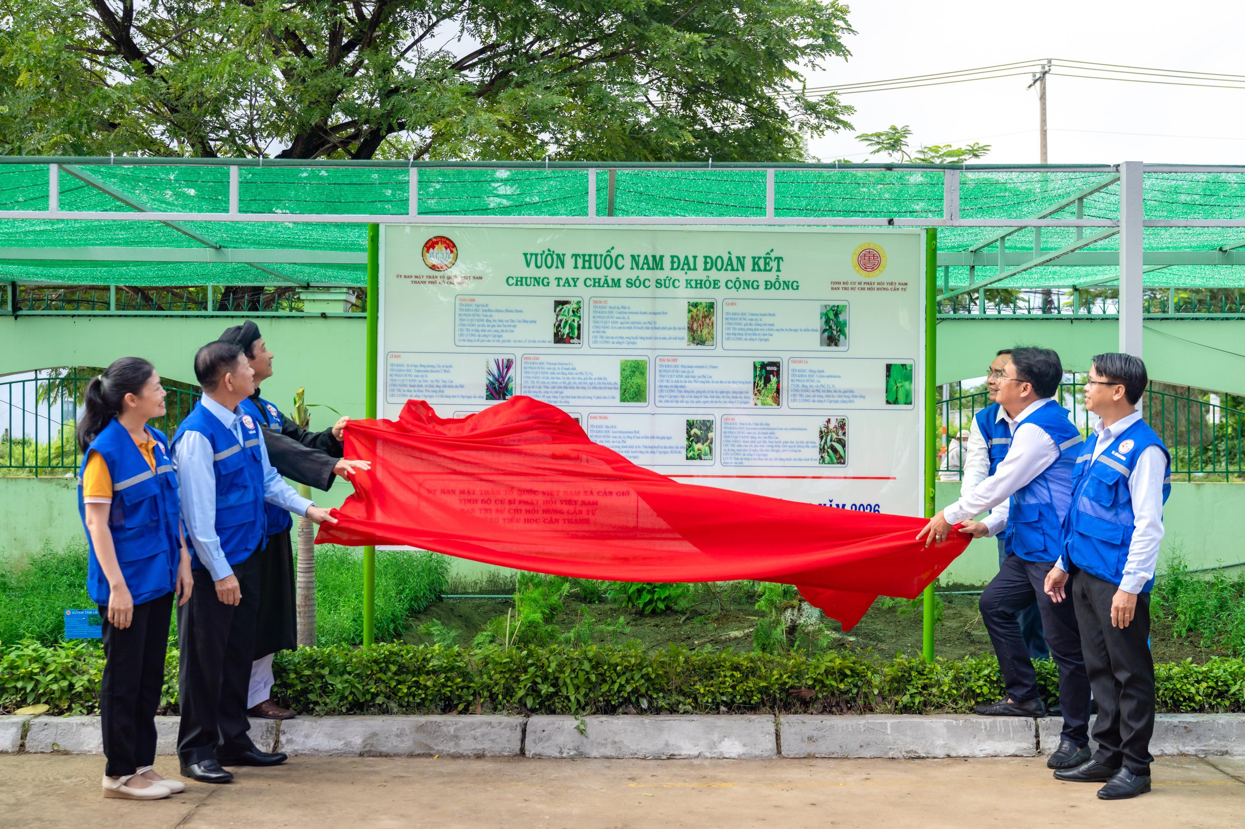 Cần Giờ có vườn thuốc nam vừa là lớp học xanh, vừa chăm sóc sức khỏe cộng đồng - Ảnh 6.