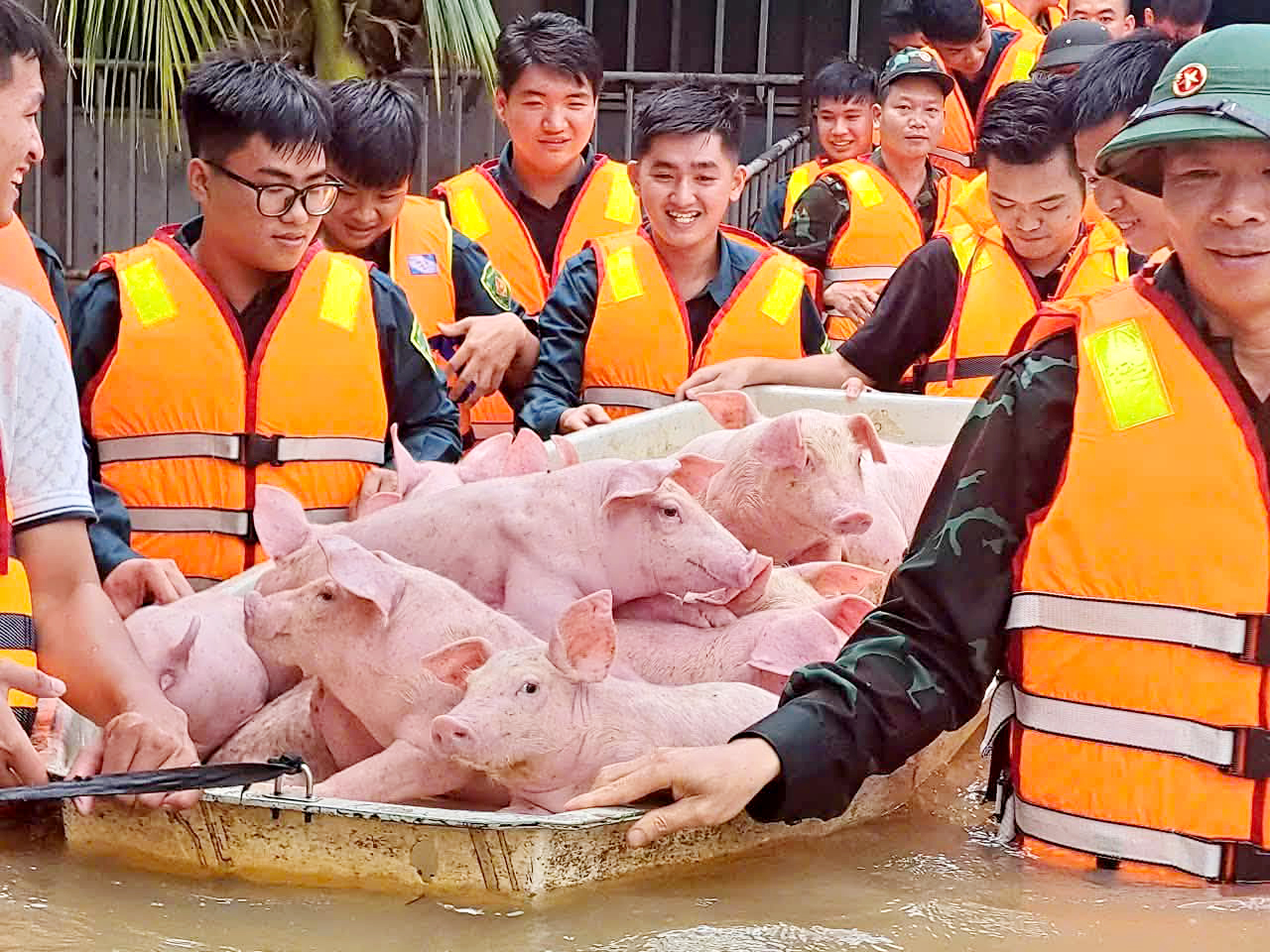 Mưa lũ ở Đồng Nai: Hơn 280 hộ dân bị ảnh hưởng, 115ha lúa và 41 ao cá ngập úng - Ảnh 3.