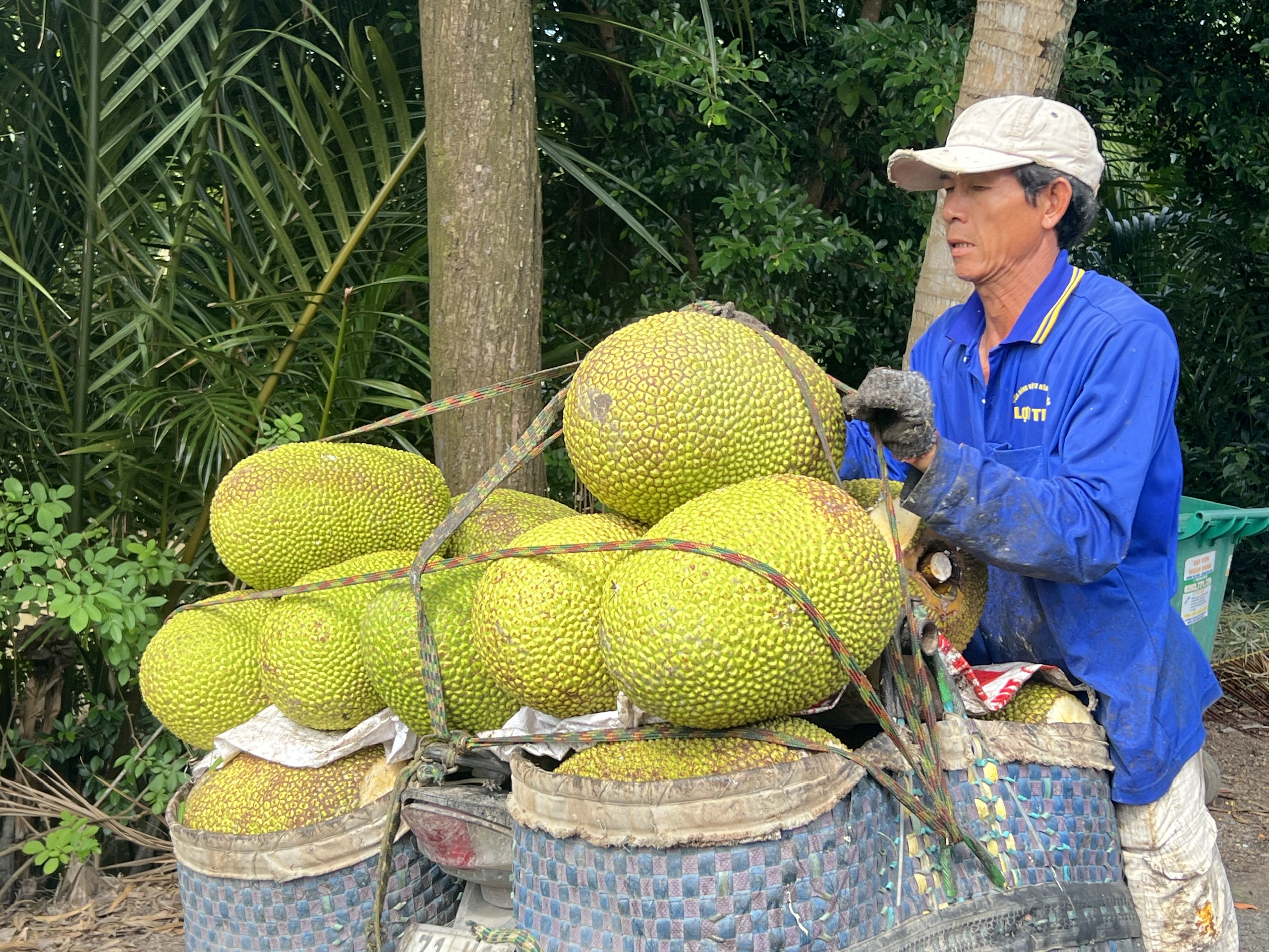 Giá cả đầu ngày: Thời tiết đẩy giá rau, thủy hải sản tăng, mít Thái phục hồi; lồng đèn thủ công lên ngôi - Ảnh 3.