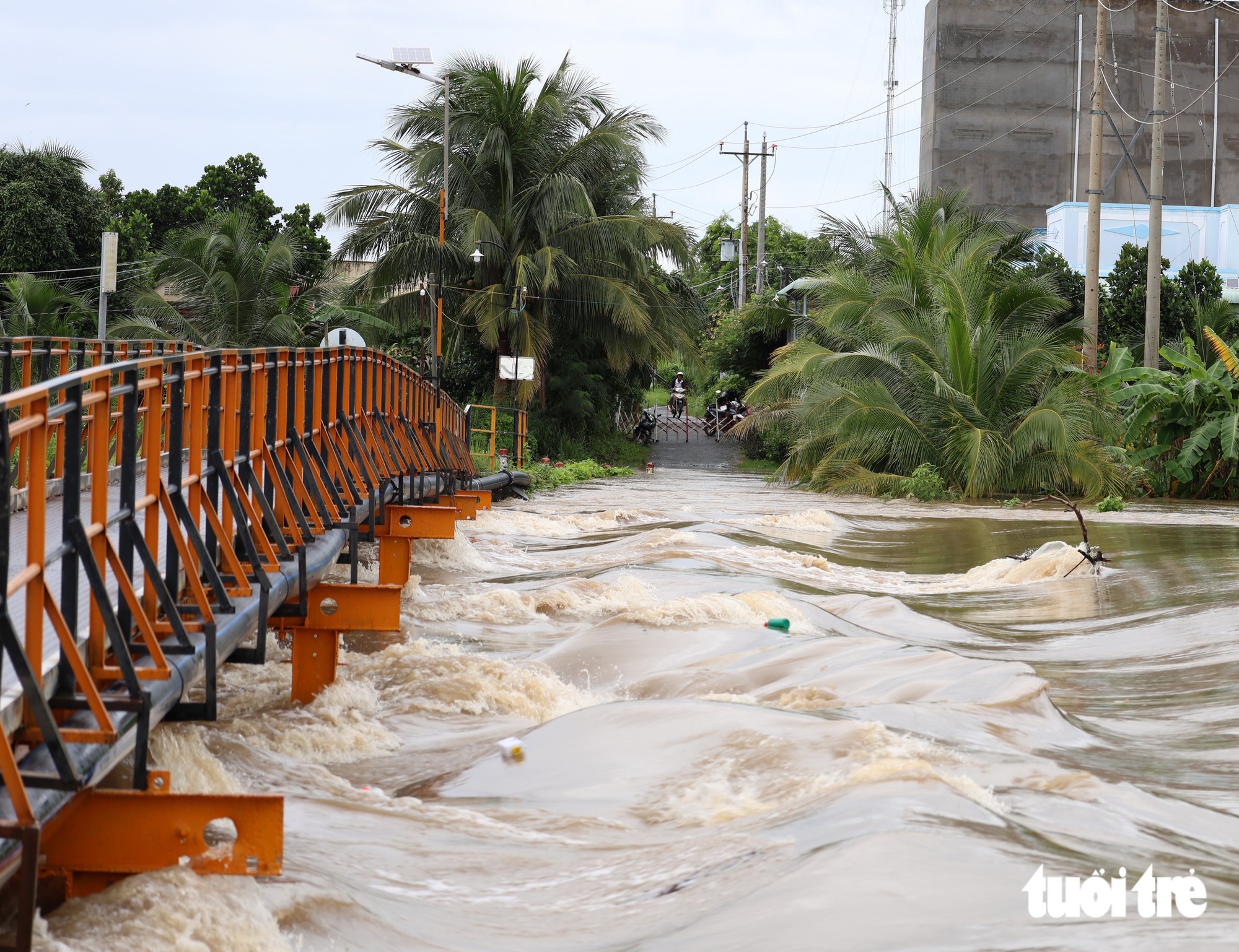 Hồ chứa xả nước, vùng hạ du ở Bình Thuận cũ ngập lênh láng - Ảnh 2.