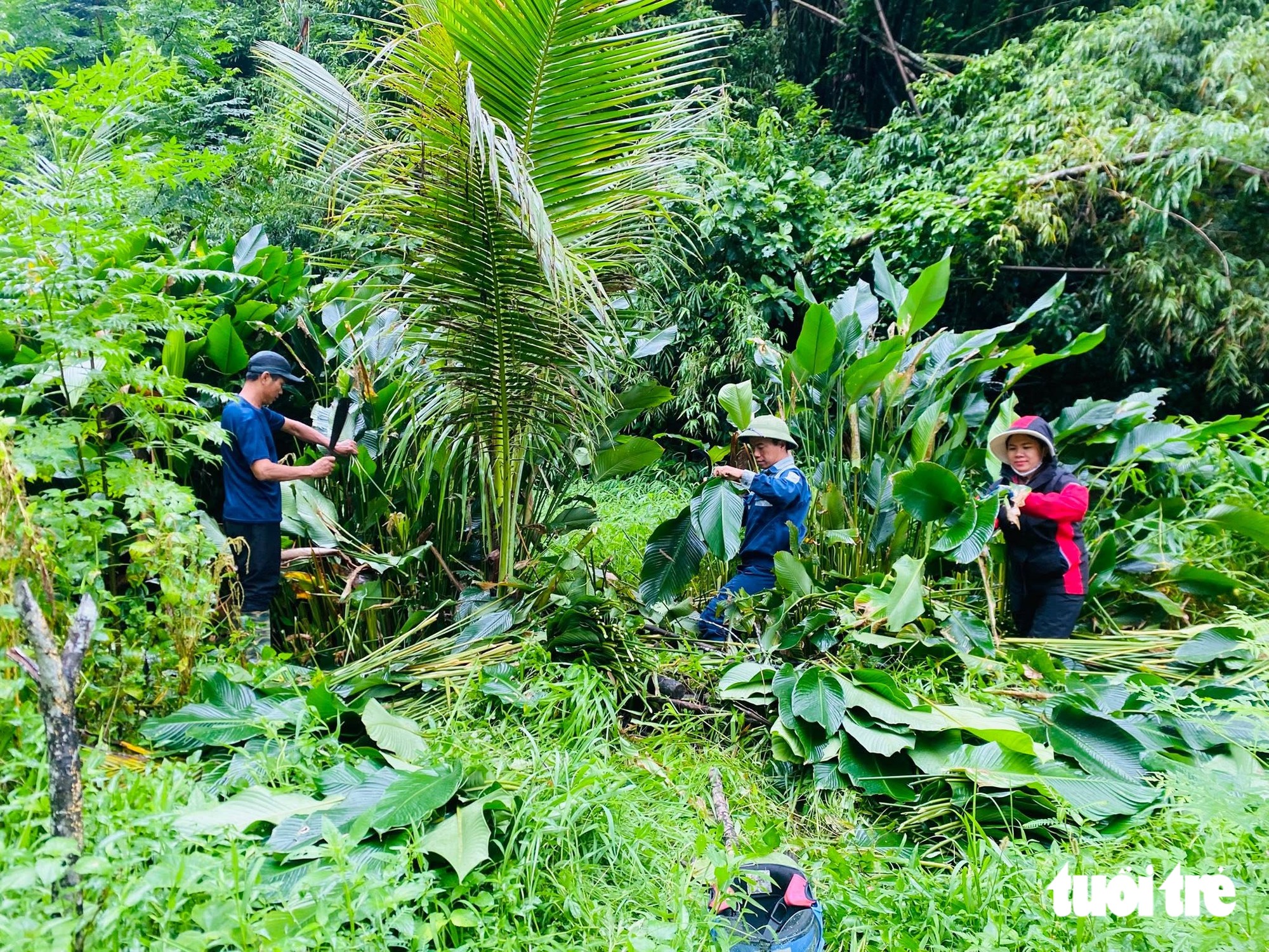Cả làng gói bánh chưng làm quà Trung thu cho trẻ em - Ảnh 2.