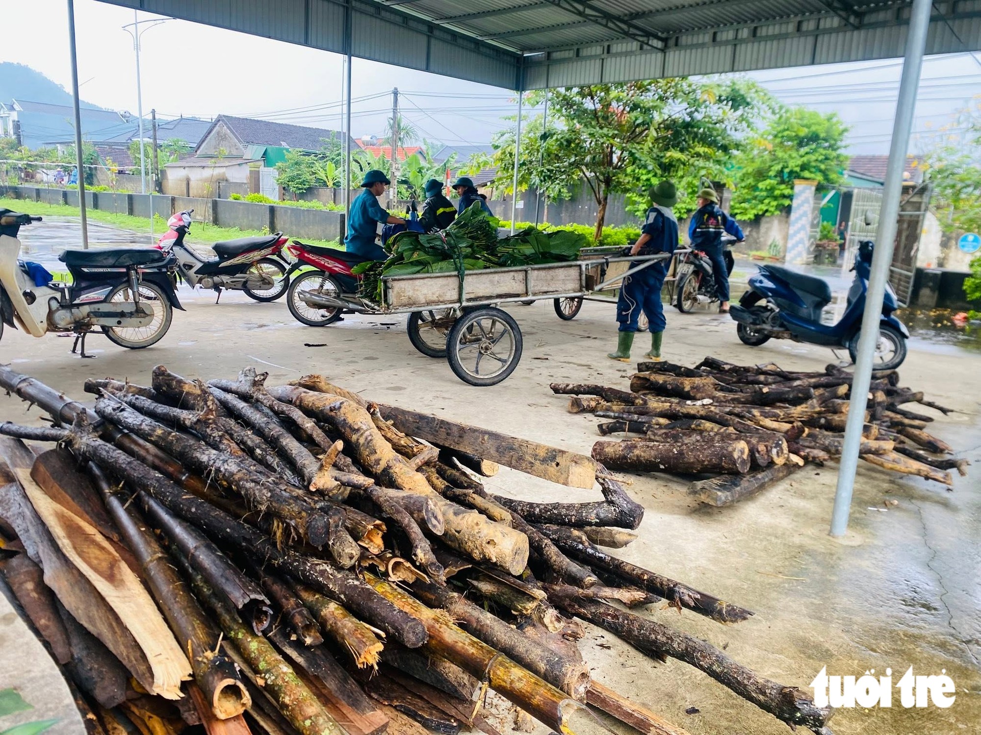 Cả làng gói bánh chưng làm quà Trung thu cho trẻ em - Ảnh 3.