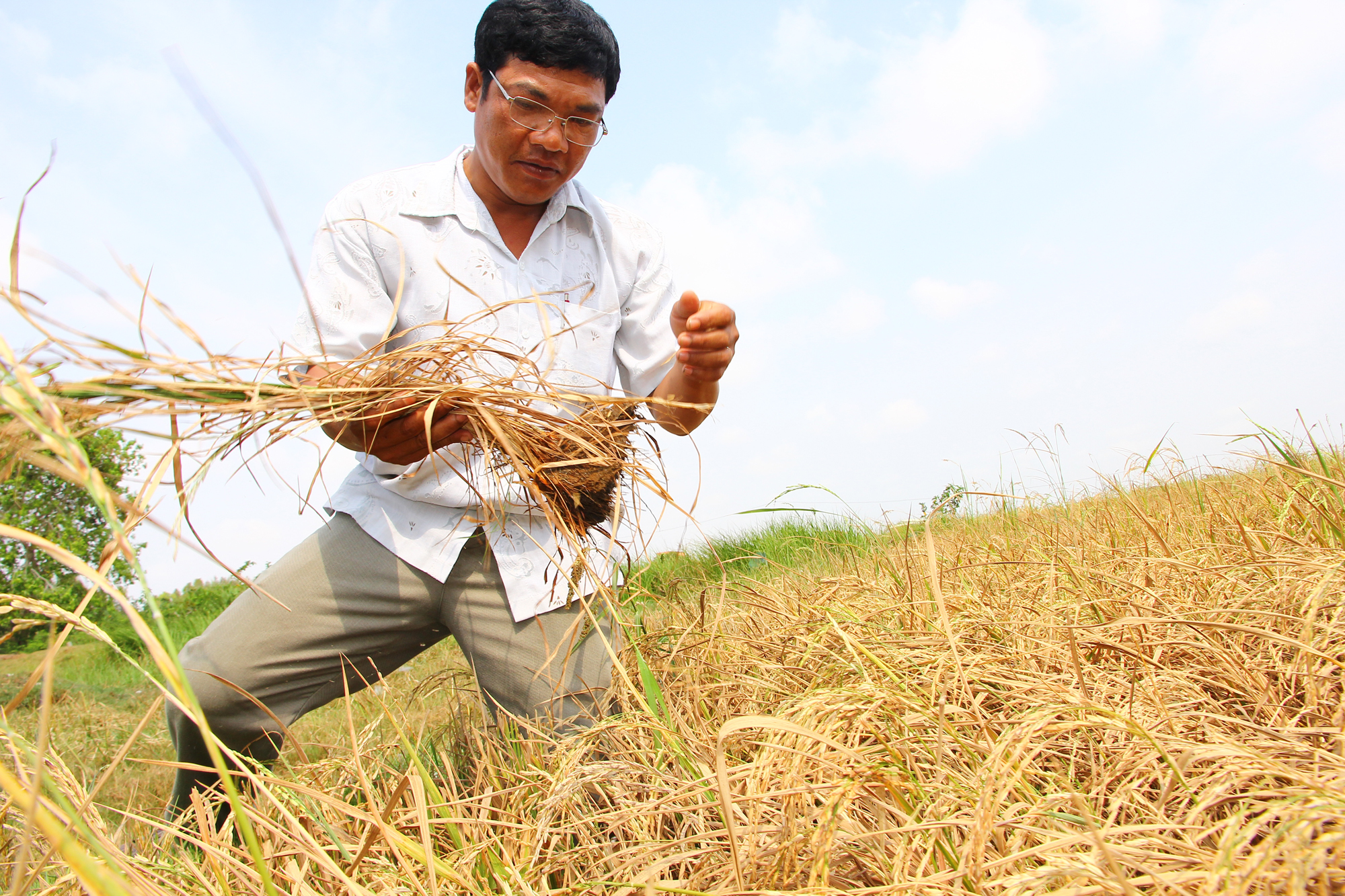 Giữa mùa nước nổi mà lo hạn mặn khốc liệt vì El Nino:  Bài 3: Không để vào thế trở thay không kịp khi ứng phó hạn mặn - Ảnh 2.
