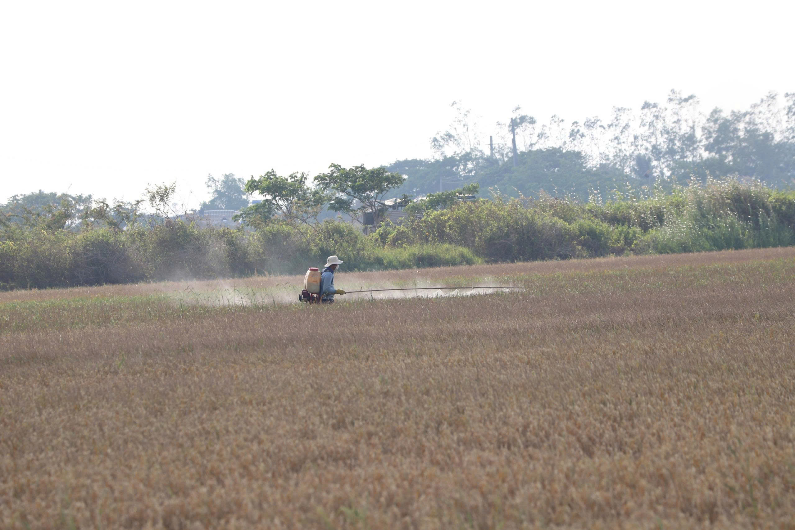 Giữa mùa nước nổi mà lo hạn mặn khốc liệt vì El Nino:  Bài 3: Không để vào thế trở thay không kịp khi ứng phó hạn mặn - Ảnh 4.
