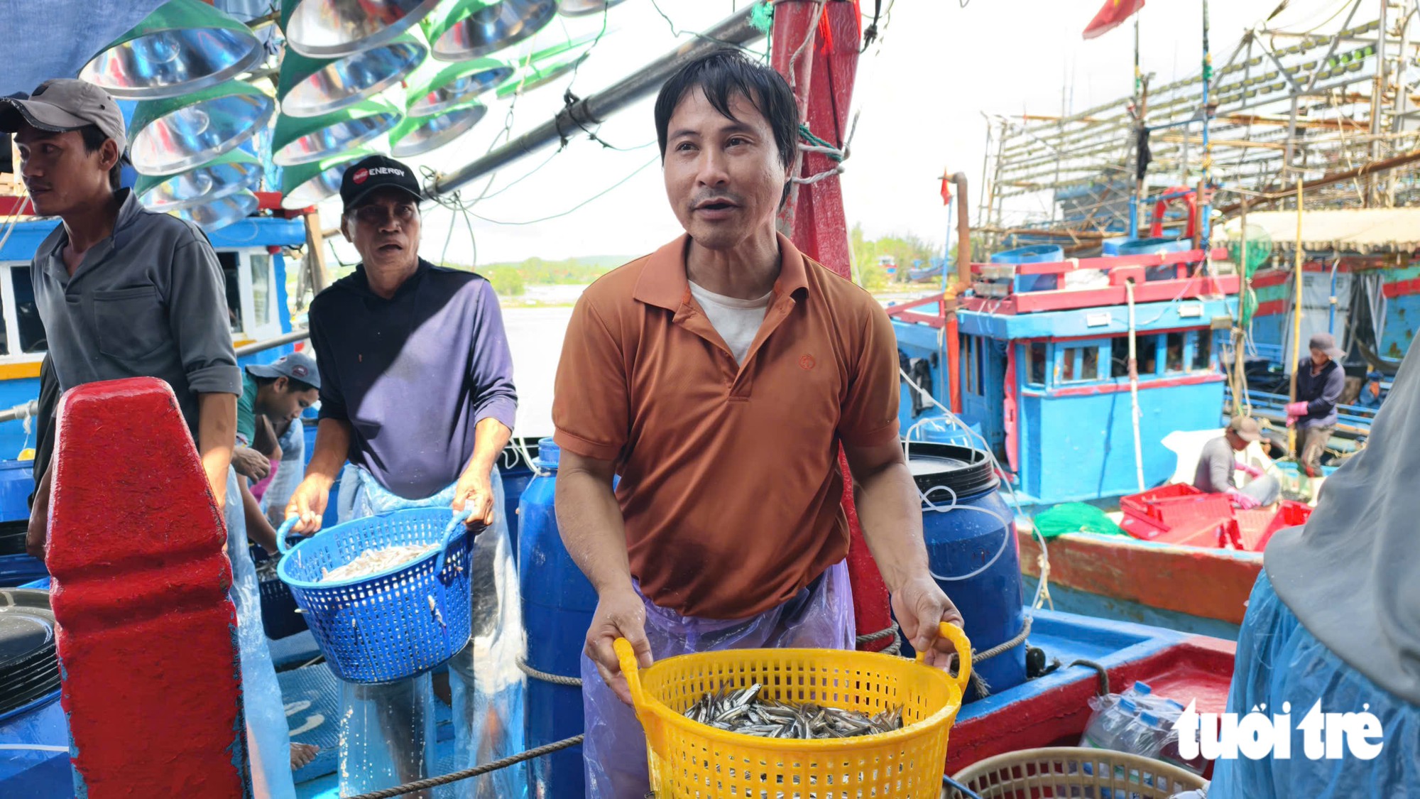 Trúng mùa cá cơm, ngư dân Quảng Ngãi thu tiền triệu mỗi đêm - Ảnh 4.