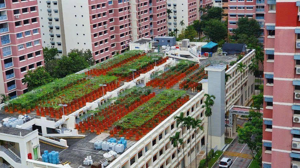 Nhà ở xã hội hôm nay và cho cả những người sẽ sống - Ảnh 2.