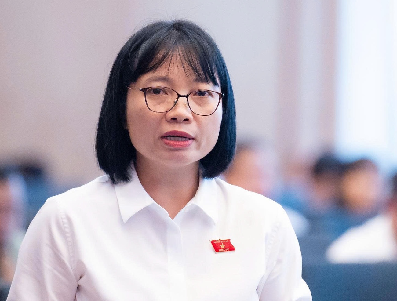 Đại biểu:  - Ảnh 2.