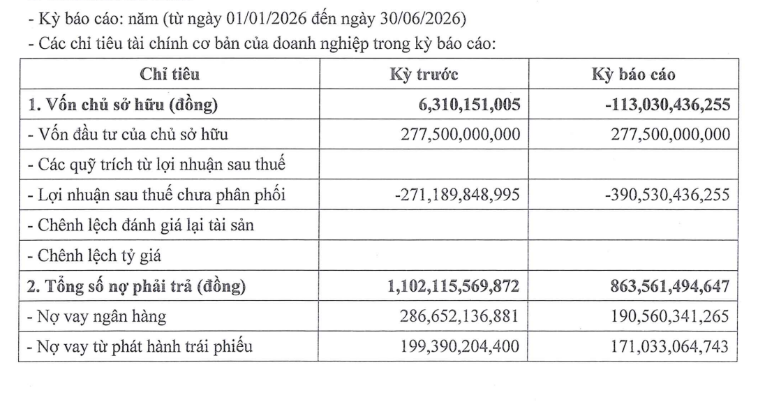 Công ty của đại gia Đường 'bia' âm vốn 113 tỉ đồng - Ảnh 3.