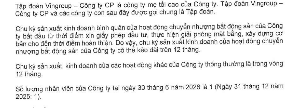 Chỉ 1 nhân viên, công ty con của Vingroup lãi hơn 11.200 tỉ đồng sau nửa năm - Ảnh 3.