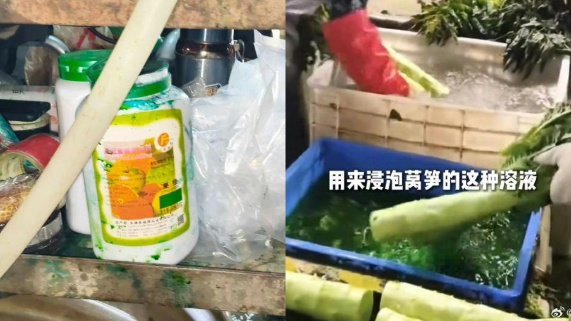 Sau cải thảo ngâm formaldehyde, Trung Quốc phát hiện rau diếp ngồng nhuộm màu - Ảnh 1.