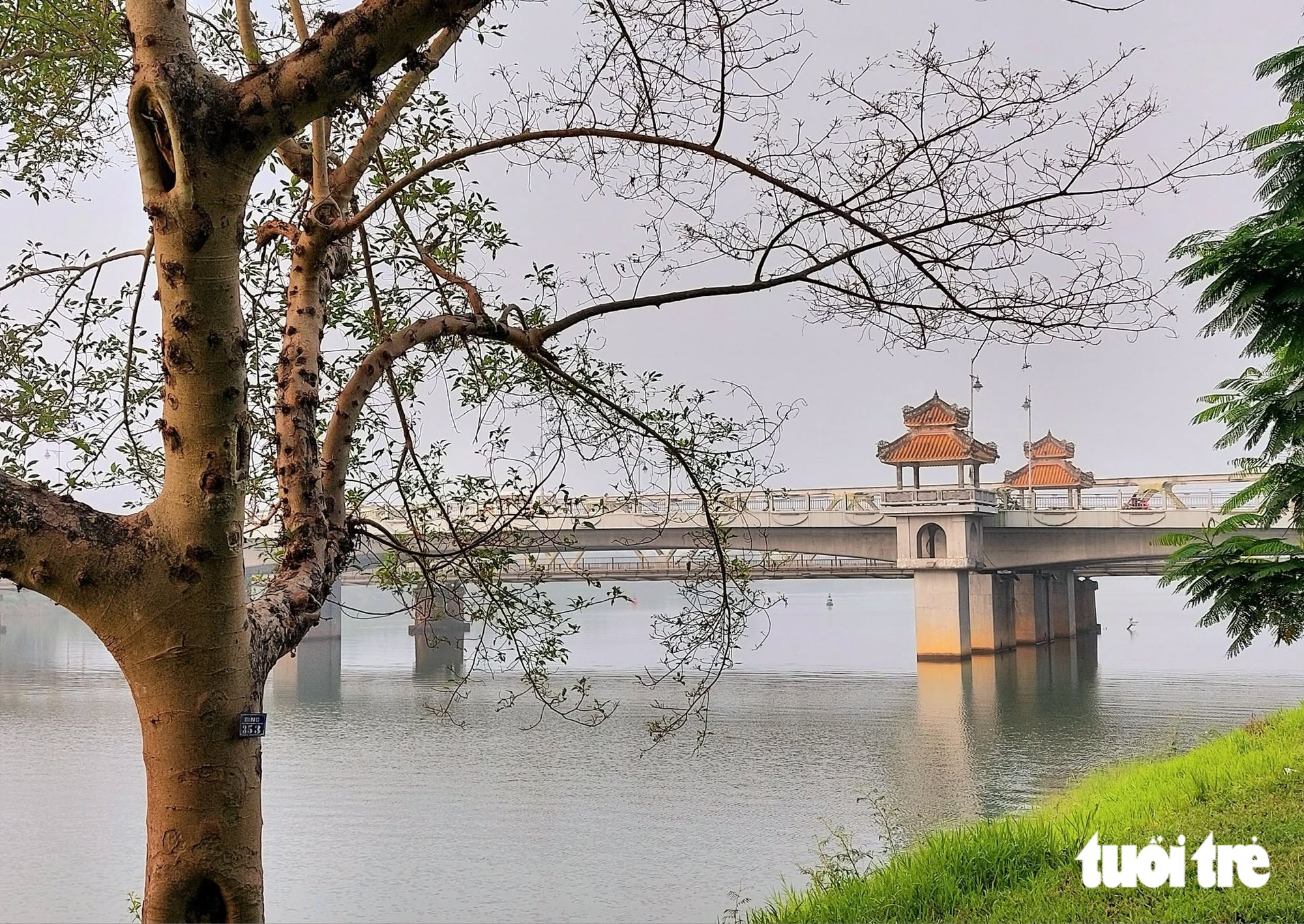 Khám phá du lịch Huế 2026 với trải nghiệm Ăn , cầu nguyện và yêu đầy lãng mạn - Ảnh 9.