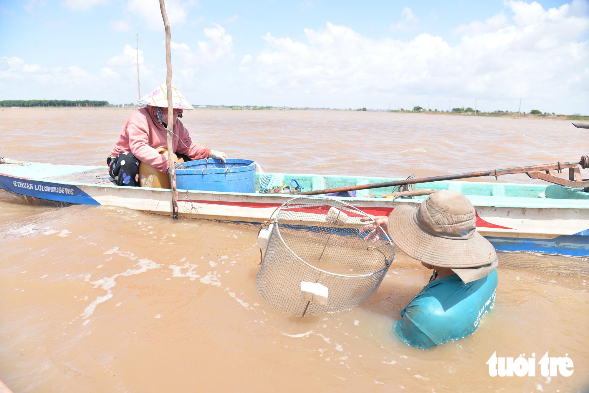 Dân miền Tây chỉ đánh bắt cá lớn, thả cá linh non về lại tự nhiên Dân miền Tây bảo tồn cá linh miền Tây thông qua lồng lược độc đáo - Ảnh 5.