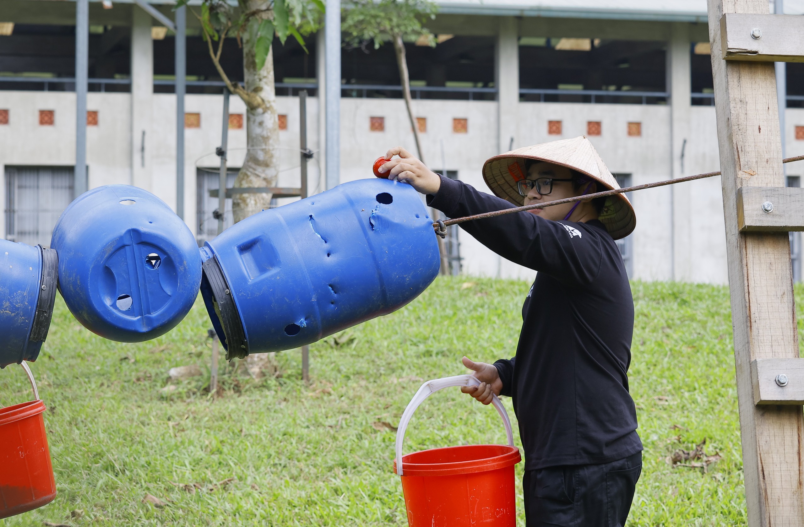 Cuối đời hạnh phúc của những chú gấu từng chịu dày vò, đau thương - Ảnh 5.