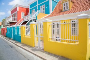 Curacao tại World Cup 2026: Chờ cảm hứng từ cựu sao Man United - Ảnh 2.