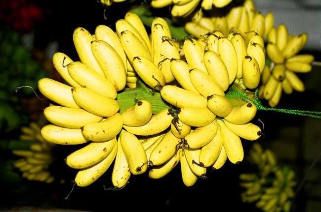Royal Banana