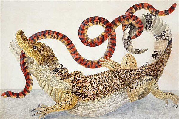ca-sau-trong-tin-nguong-dan-gian-anh-minh-hoa.jpg