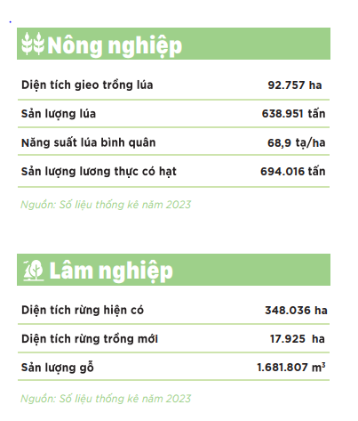 hinh-2.png