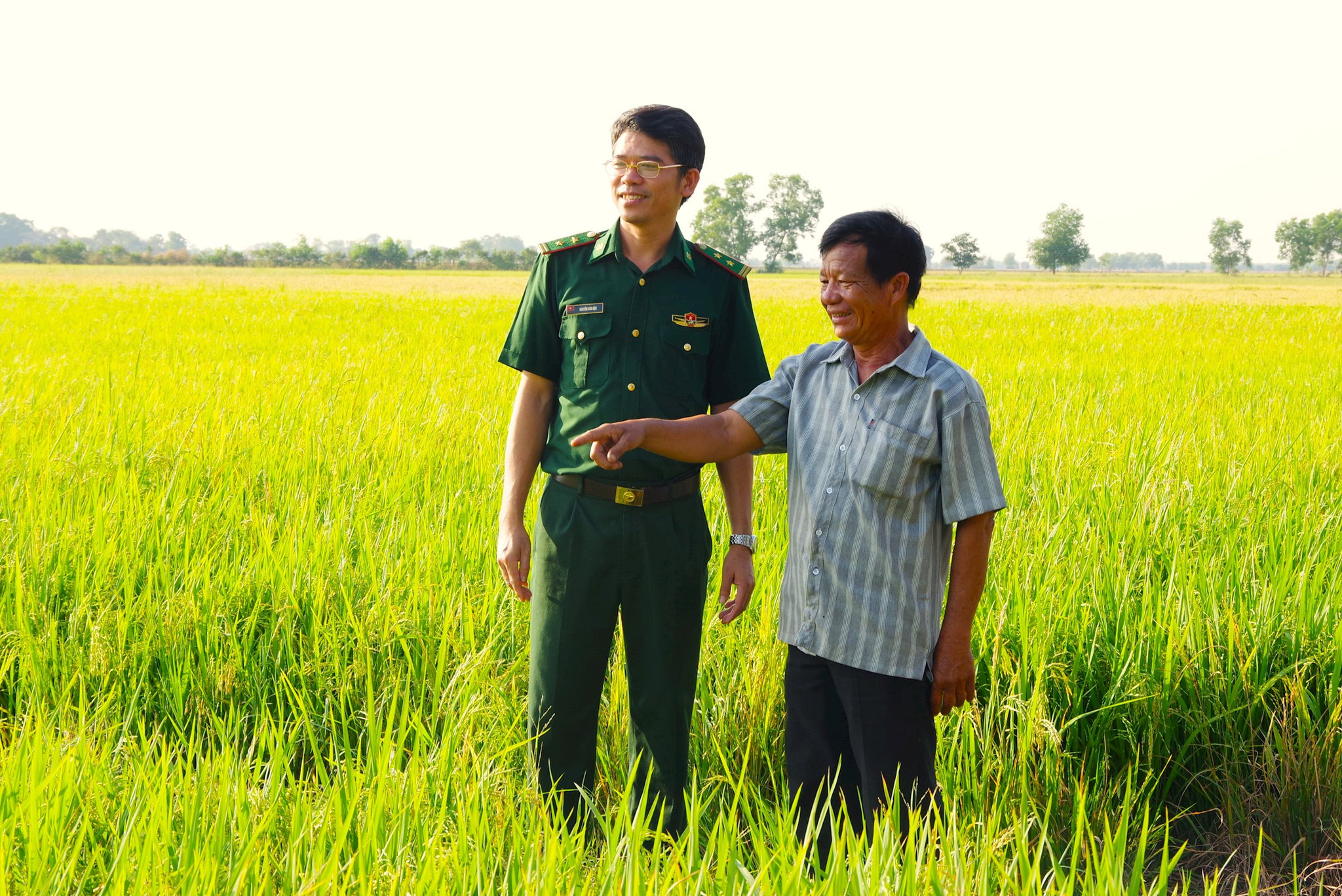 anh-3-34-.jpg