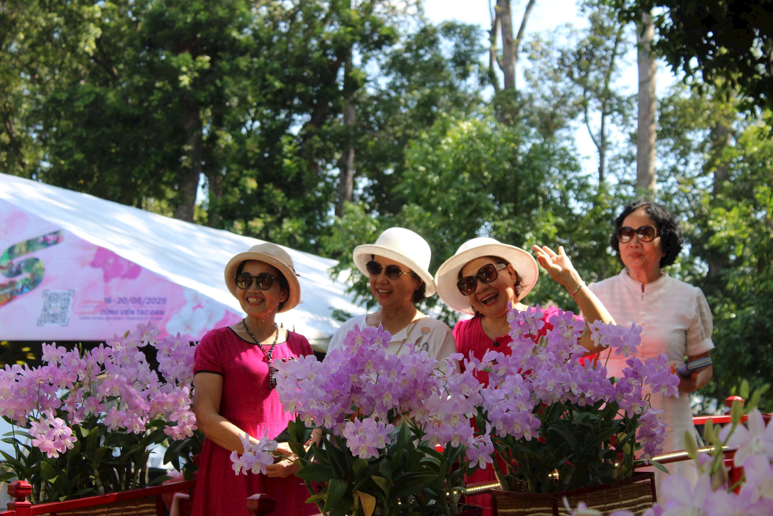 festival-hoa-lan-tphcm.jpg