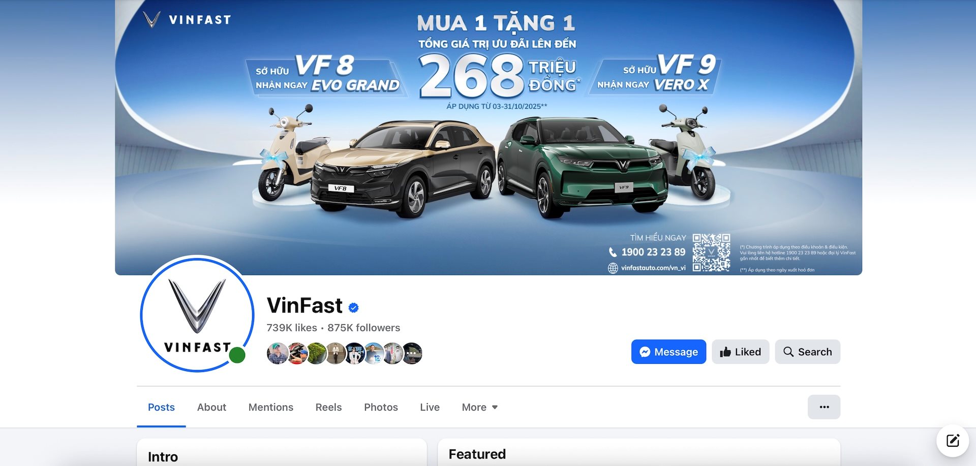 canh-bao-lua-dao-mao-danh-fanpage-vinfast-2.jpg