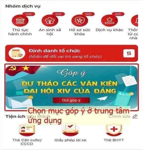 lay1.jpg