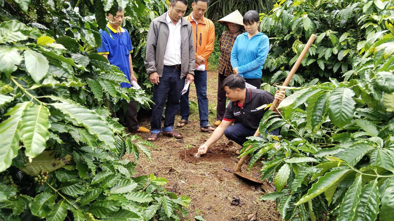 nong-dan-tham-gia-chuong-trinh-nescafe-plan-duoc-tap-huan-phuong-phap-canh-tac-ben-vung-1-.jpg