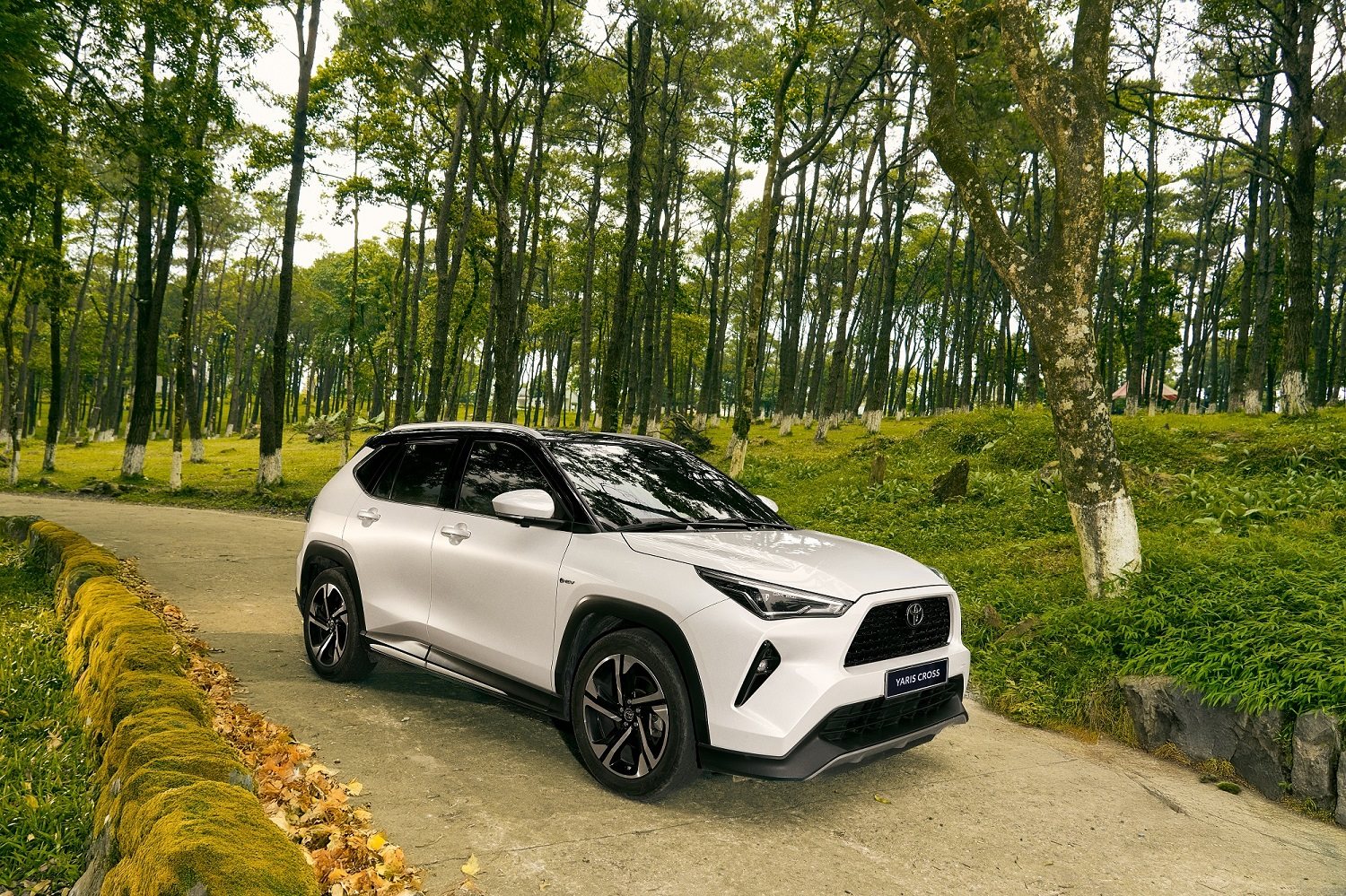 toyota-yaris-cross-hev.jpg