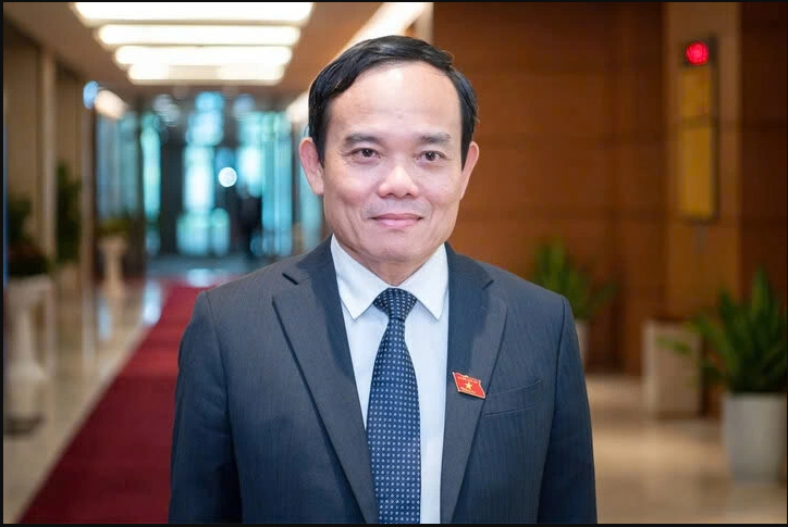 tranluuquang.png