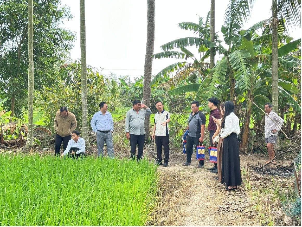 nhom-khao-sat.jpg