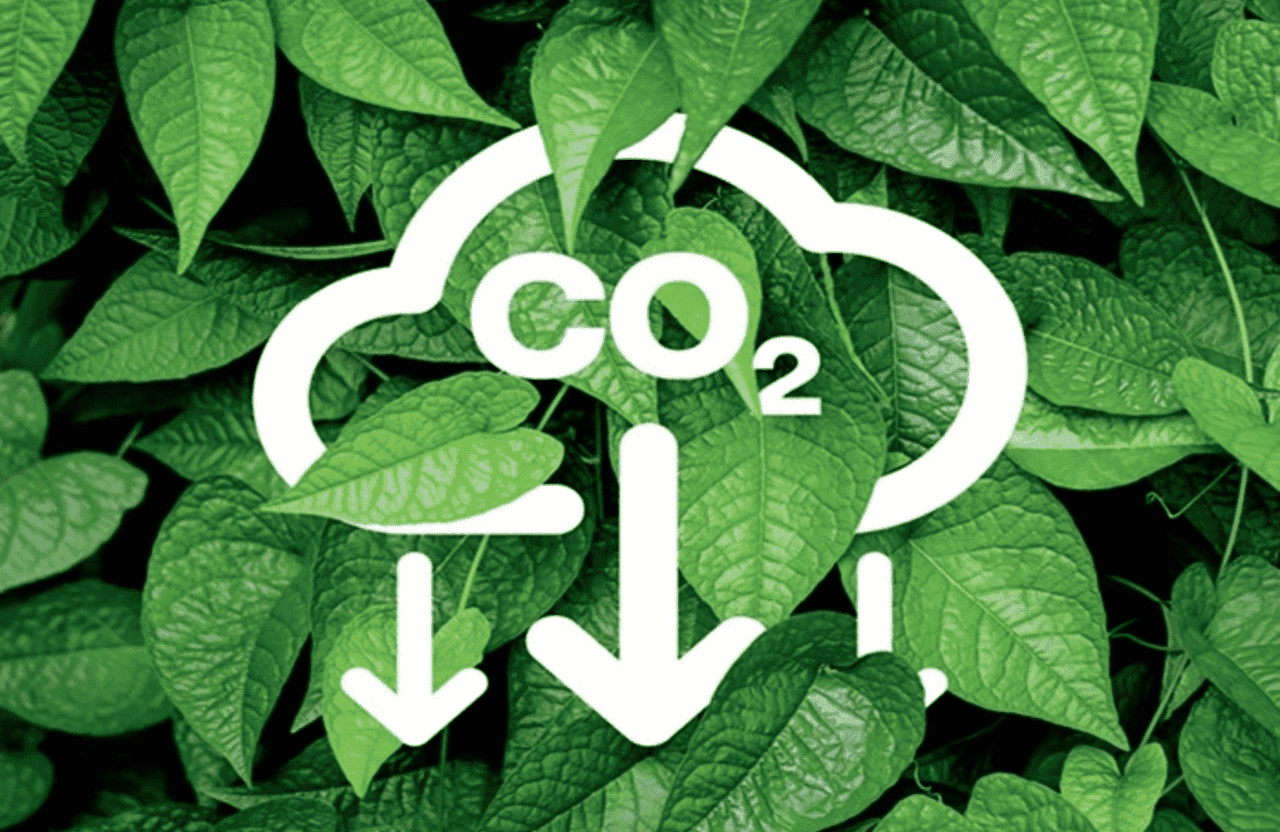 co2.png